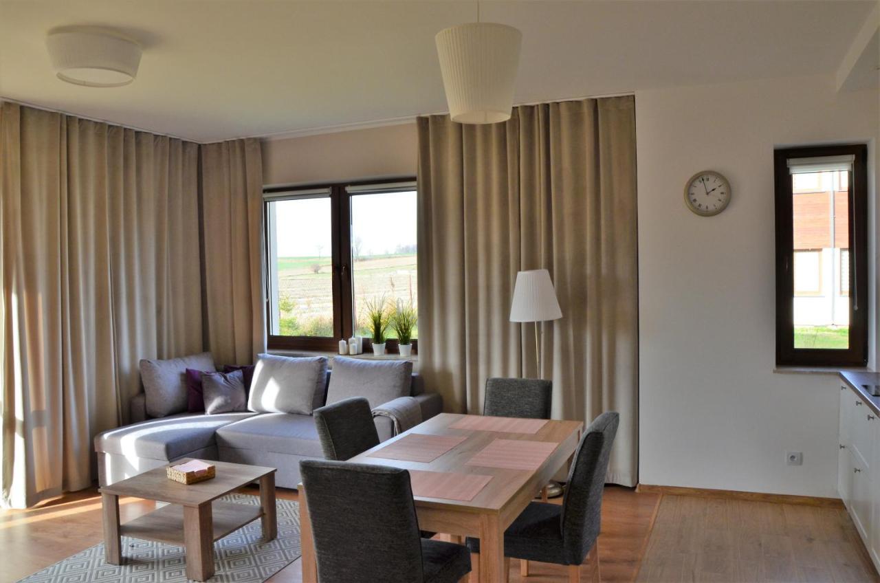 Komfort Apartament Nałęczów エクステリア 写真